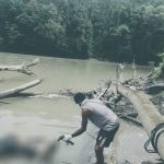 0BEC12B9-13A0-491D-9034-F4241C457A32